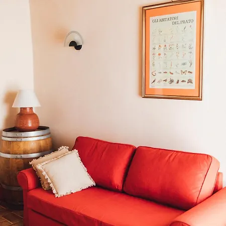 Podere Biricocolo - Il Cortile Bucine