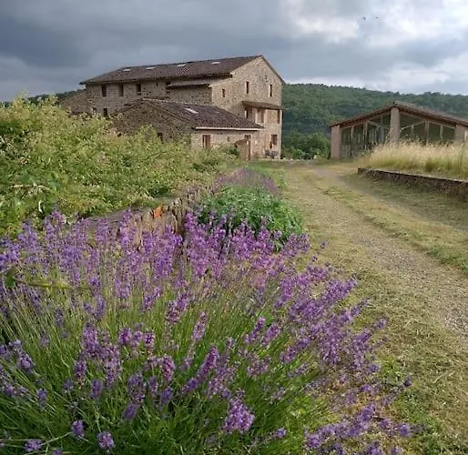 Podere Biricocolo - Il Cortile Lägenhet