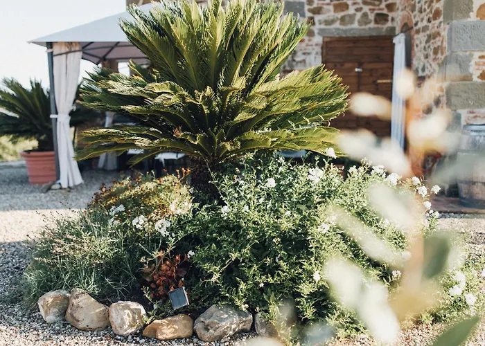 Podere Biricocolo - Il Cortile Bucine